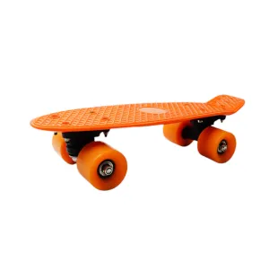 24A SKATE BOARD A.I