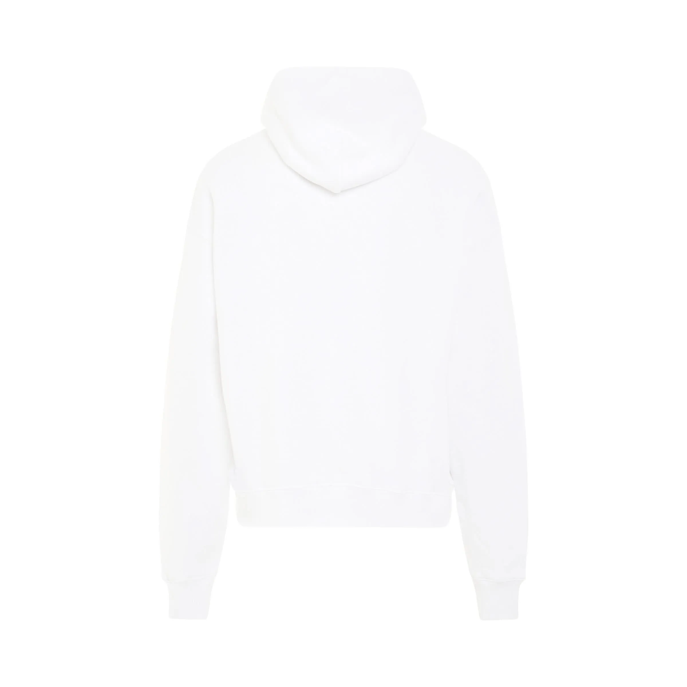 Big Bookish Skate Fit Hoodie in White