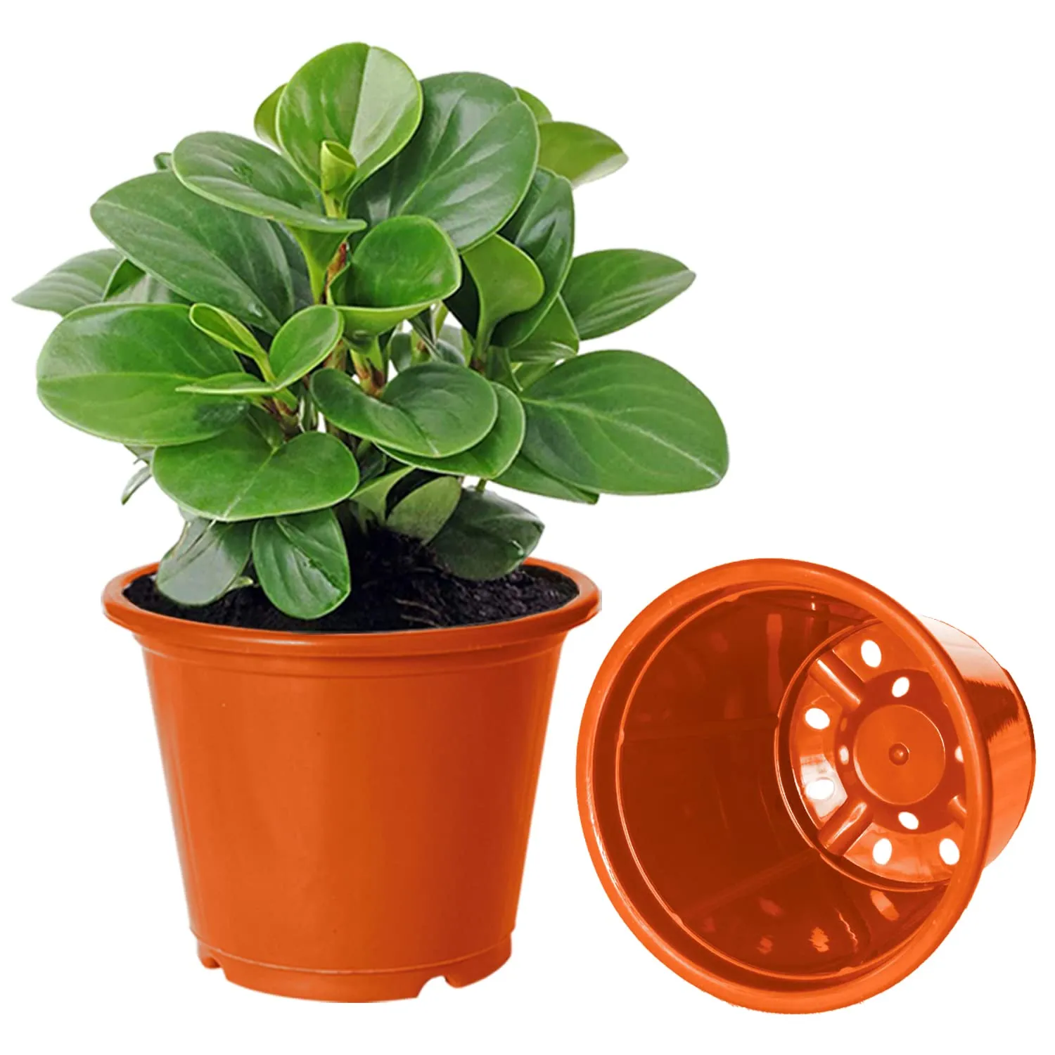 Kuber Industries Durable Plastic Flower Pot|Gamla with Drain Holes for Indoor Home Decor & Outdoor Balcony,Garden,6"x5",Pack of 3 (Orange)