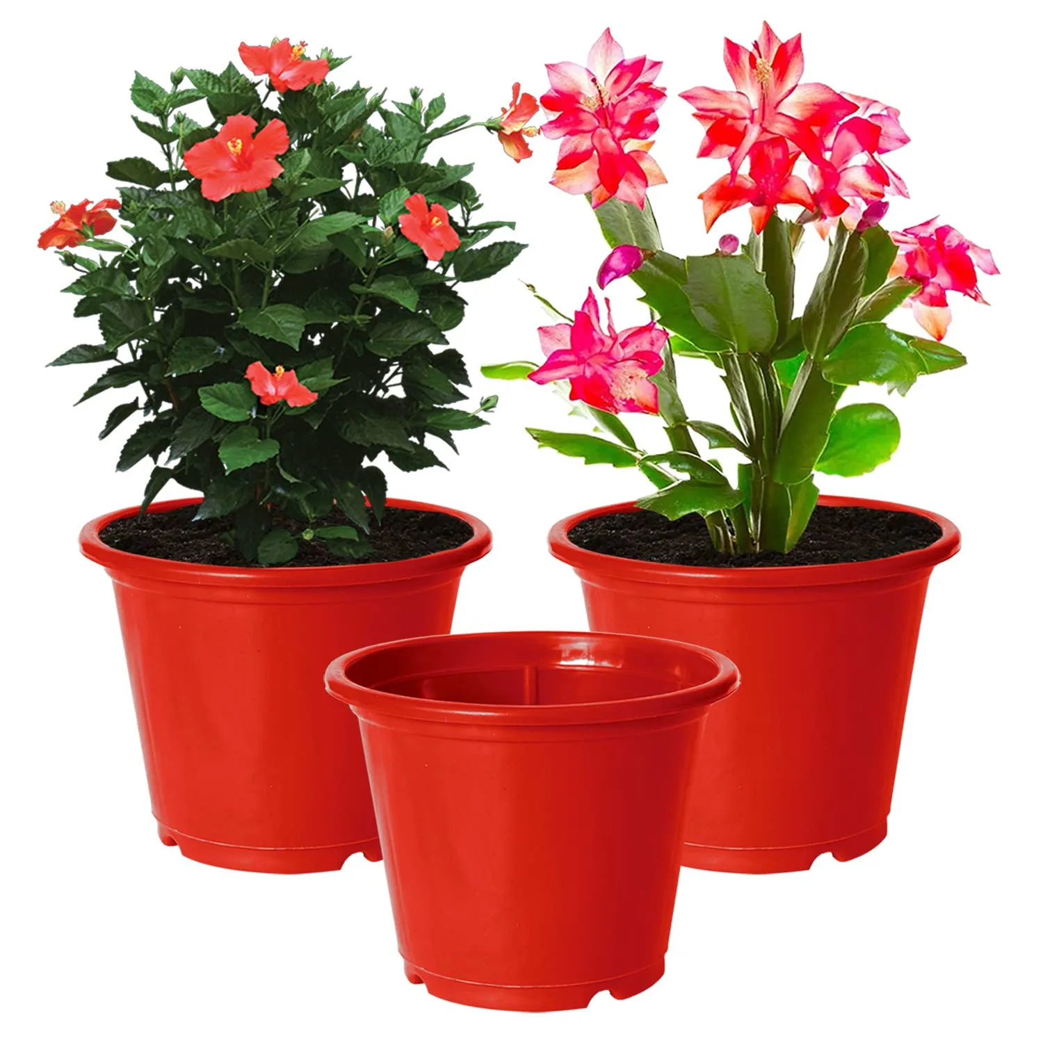 Kuber Industries Durable Plastic Flower Pot|Gamla with Drain Holes for Indoor Home Decor & Outdoor Balcony,Garden,6"x5",Pack of 3 (Red)