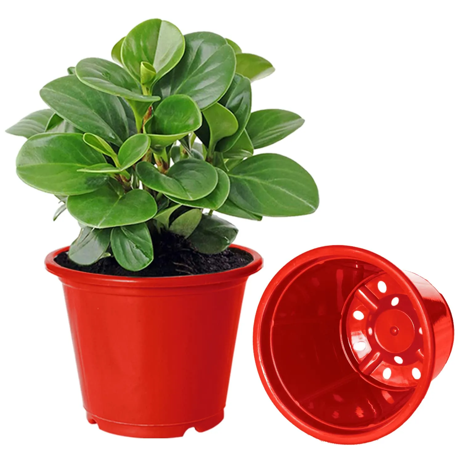 Kuber Industries Durable Plastic Flower Pot|Gamla with Drain Holes for Indoor Home Decor & Outdoor Balcony,Garden,6"x5",Pack of 3 (Red)