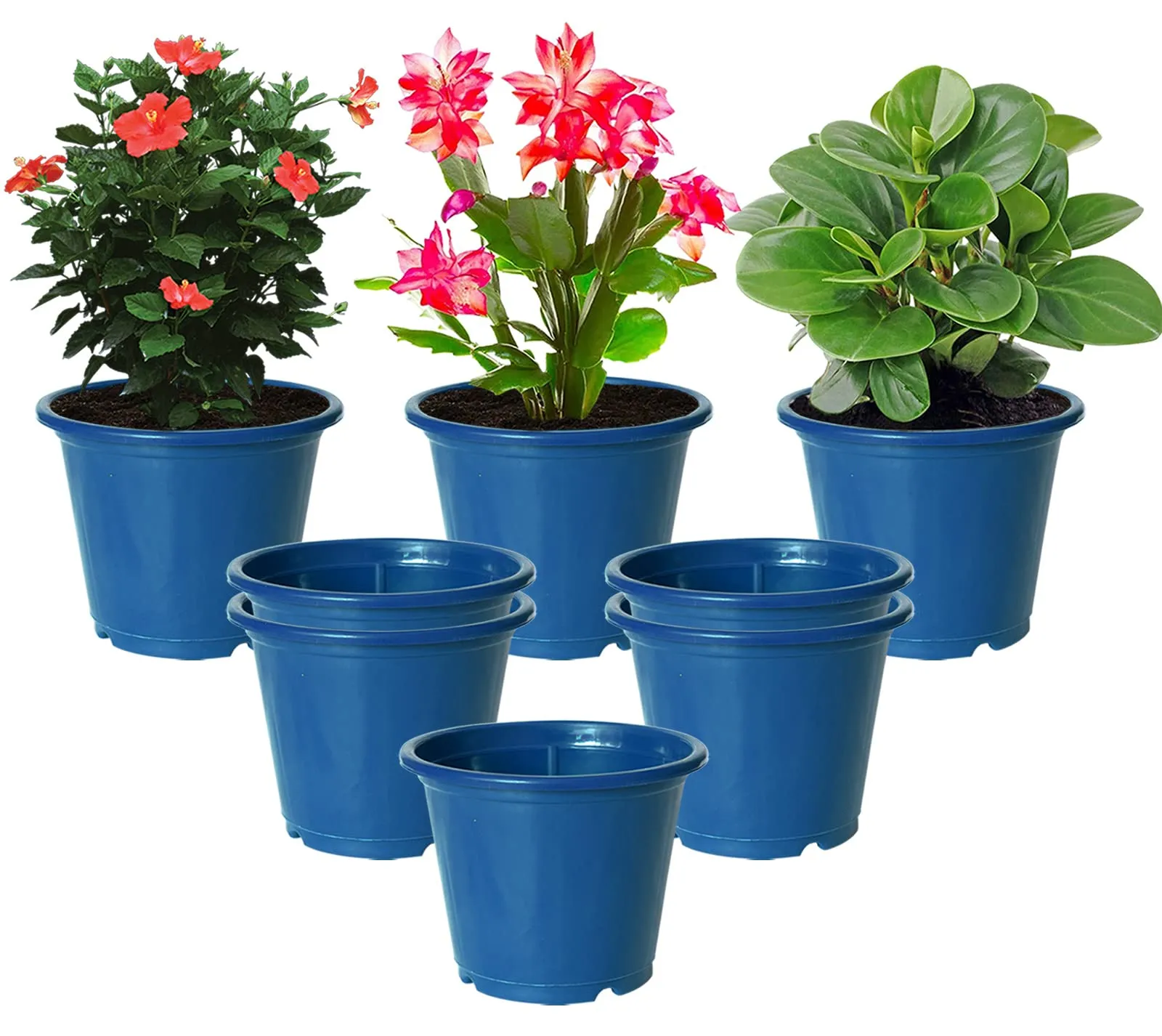 Kuber Industries Plastic Planters|Gamla|Flower Pots for Garden Nursery Home Décor,8"x6",Pack of 8 (Blue)