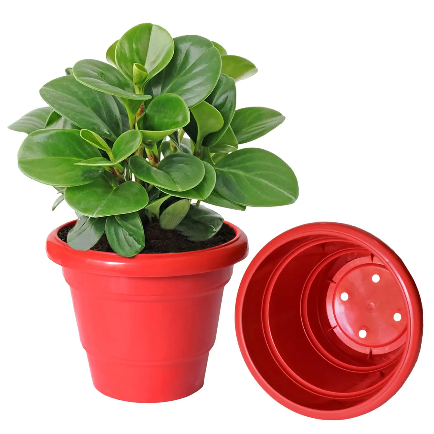 Kuber Industries Solid 2 Layered Plastic Flower Pot|Gamla for Home Decor,Nursery,Balcony,Garden,8"x 6",Pack of 8 (Red)