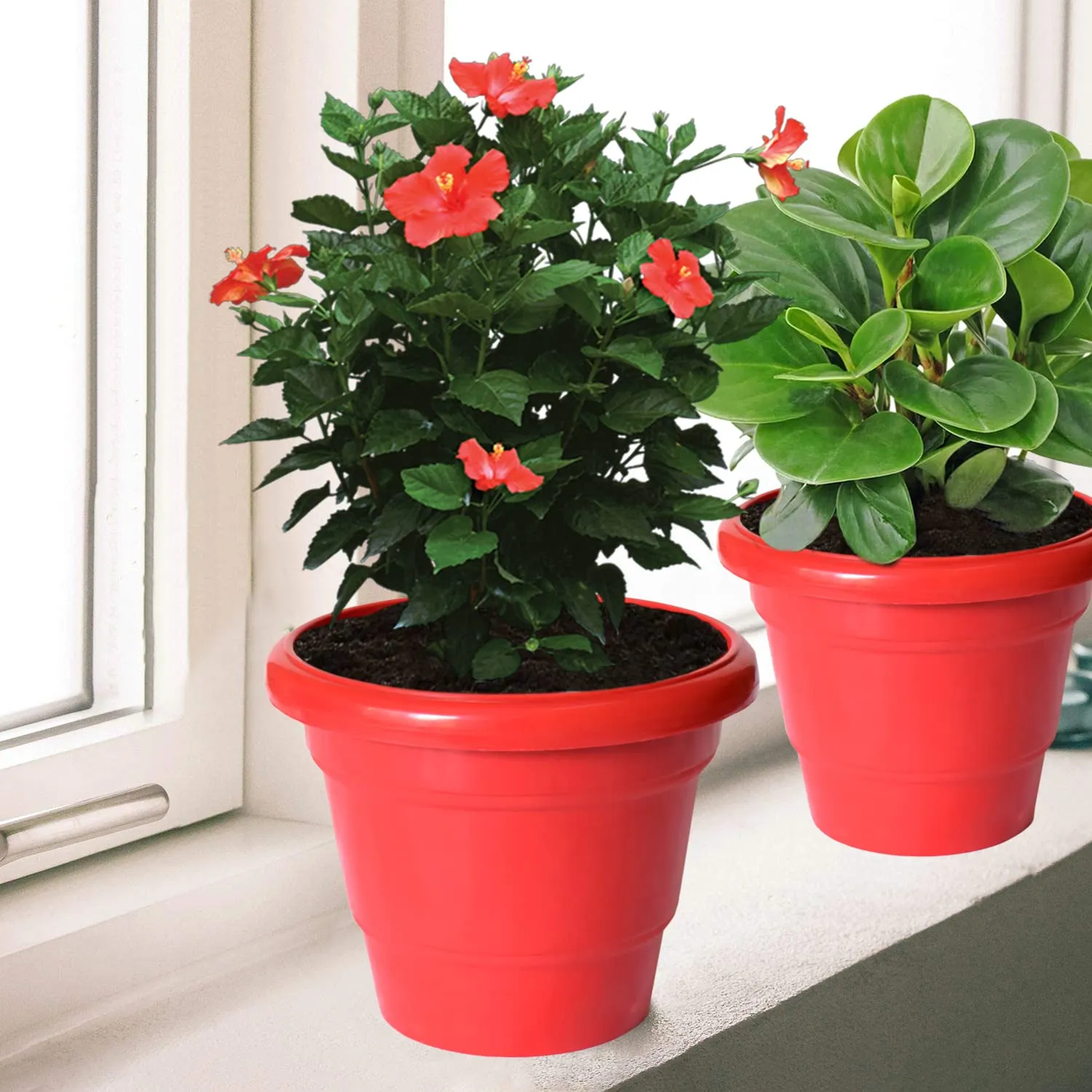 Kuber Industries Solid 2 Layered Plastic Flower Pot|Gamla for Home Decor,Nursery,Balcony,Garden,8"x 6",Pack of 8 (Red)