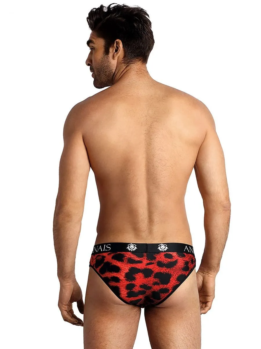 Men's briefs Anais