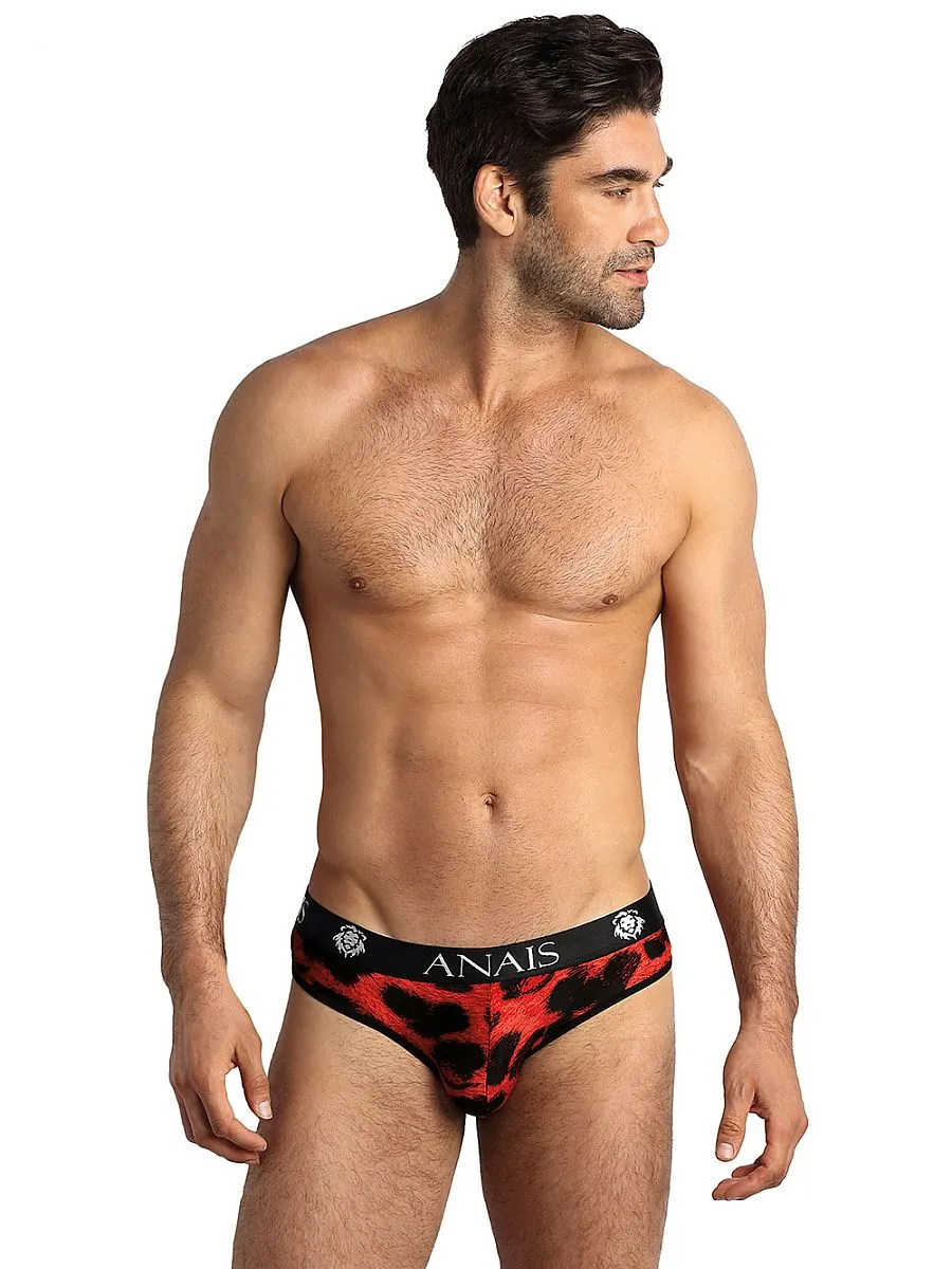 Men's briefs Anais