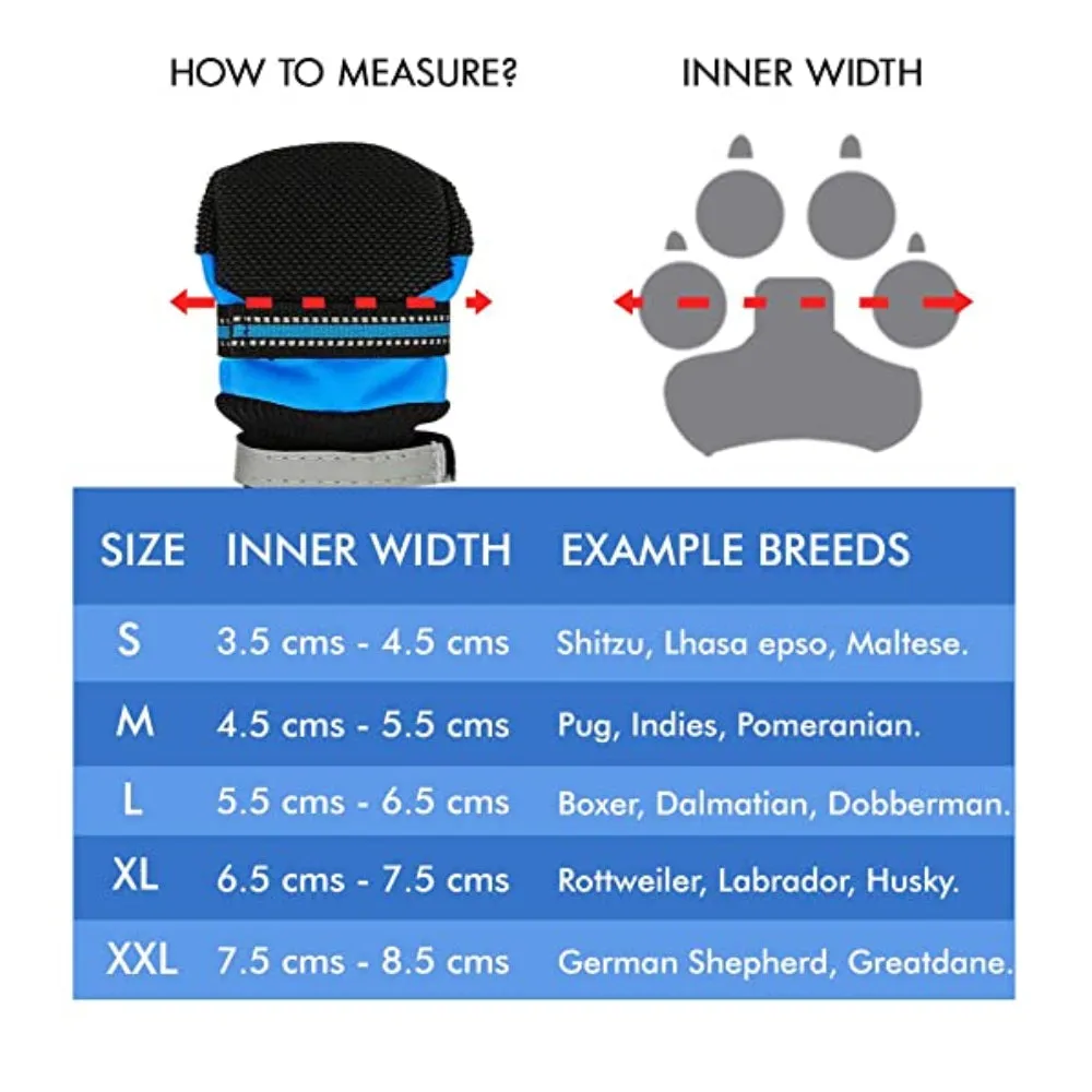 Pawsindia, Walkers-shoe Blue Color Shoe for Dog